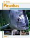 Bede HO 353 Piranhas
